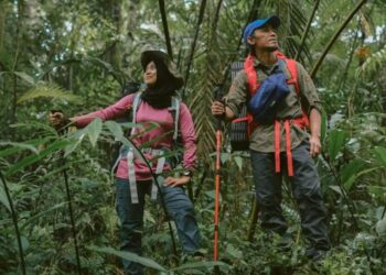 xr:d:DAFLUGTnGpA:1489,j:5184042920404103310,t:23081501